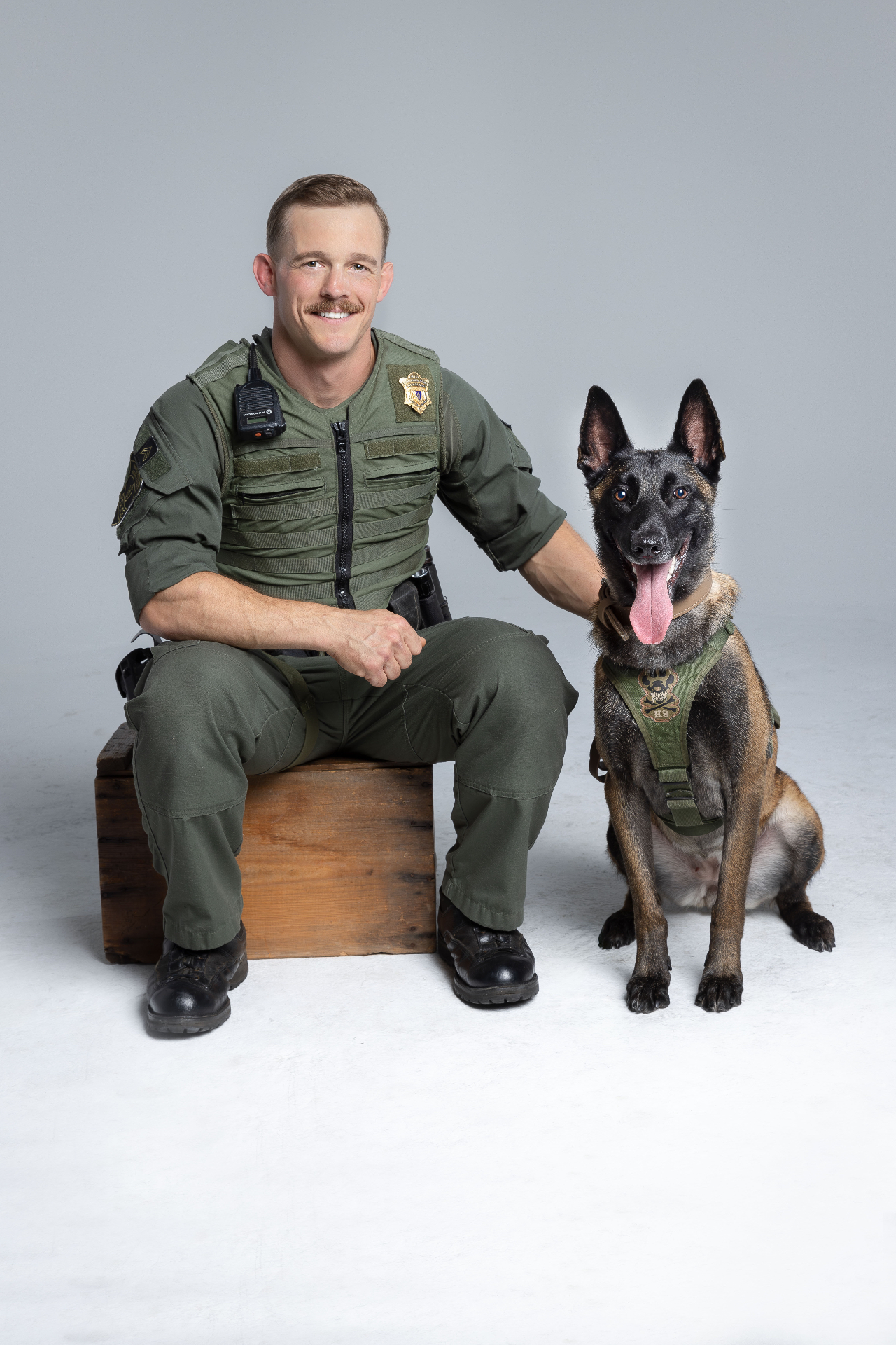 Police K9 wearing protective vest