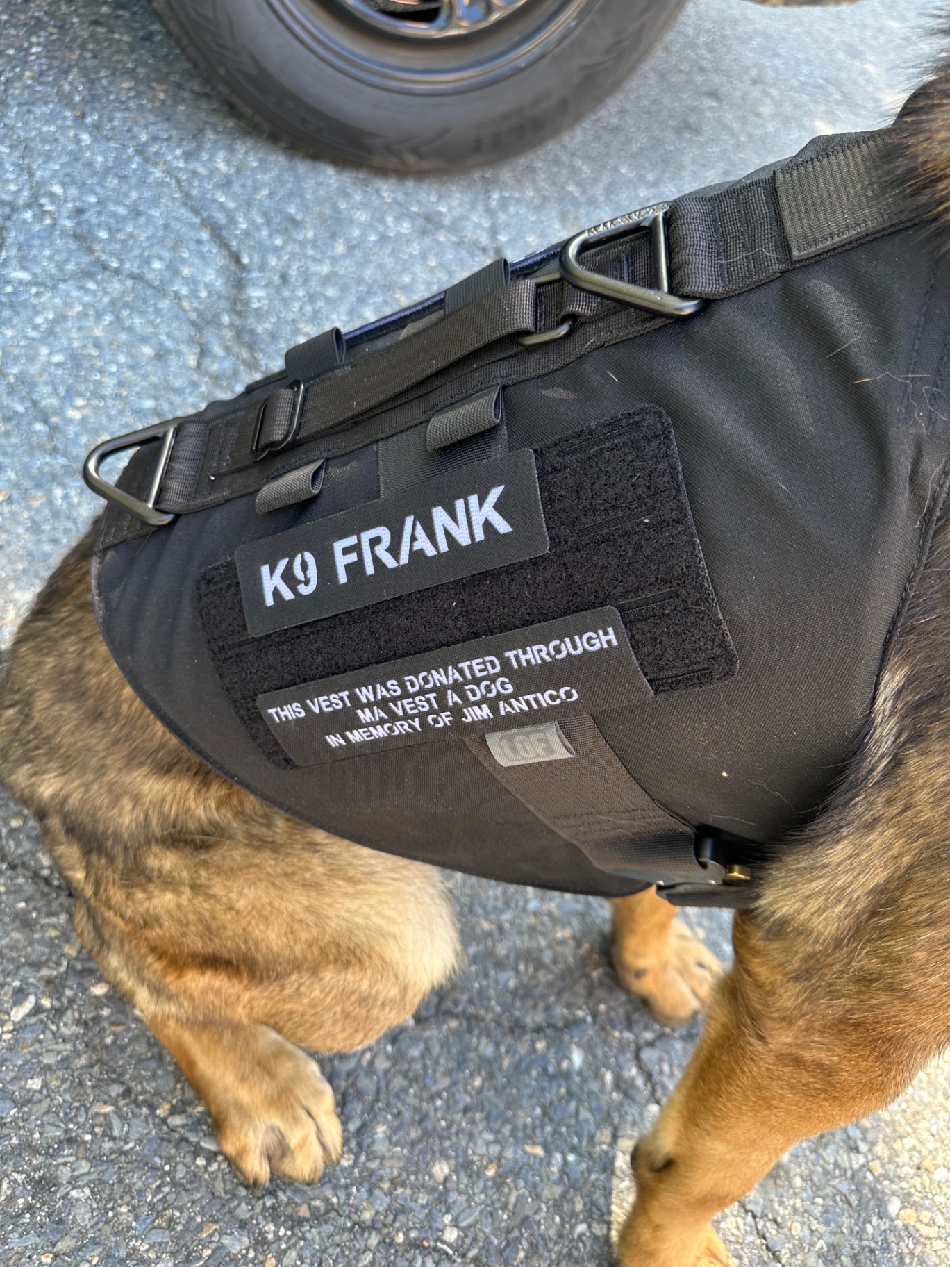 Massachusetts Vest-A-Dog protected K-9