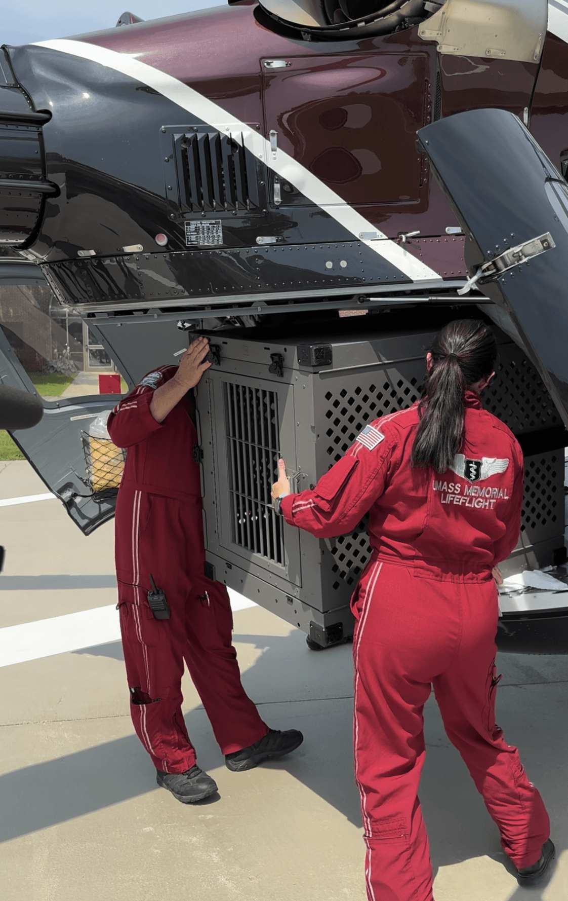 UMass Memorial LifeFlight K-9 transport