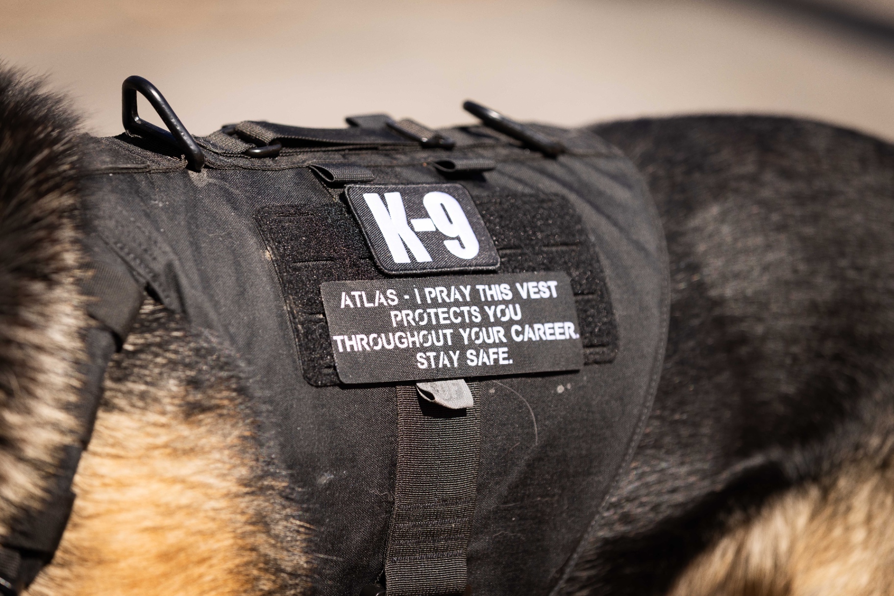 Massachusetts Vest-A-Dog protected K-9