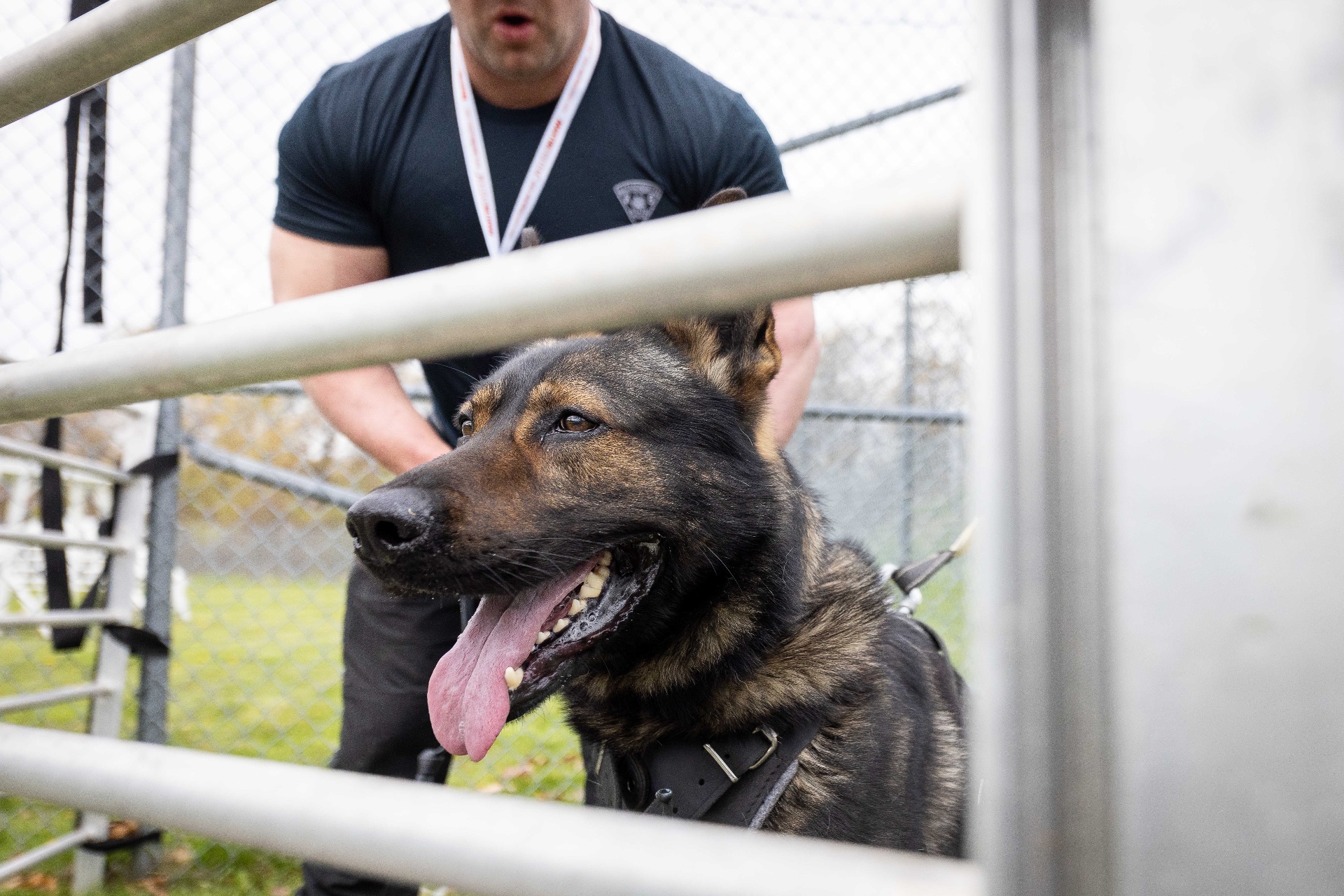 K-9 with handler in kennel